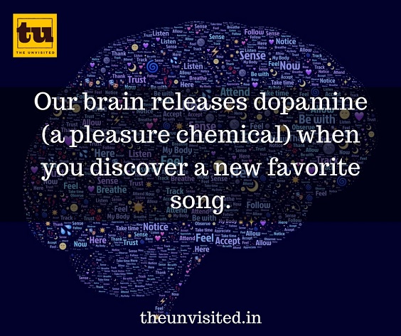 Our brain releases dopamine (a pleasure chemical) when you discover a new favorite song