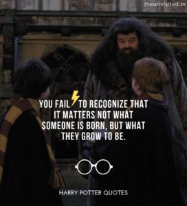 Harry-Potter-Quotes-life-love-friendship-wisdom-writings-Quotes-The-Unvisited-quote-book-writer-j-k-rowling You fail to recognize that it matters not what someone is born, but what they grow to be