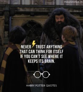 Harry-Potter-Quotes-life-love-friendship-wisdom-writings-Quotes-The-Unvisited-quote-book-writer-j-k-rowling Never trust anything that can think for itself if you can’t see where it keeps its brain