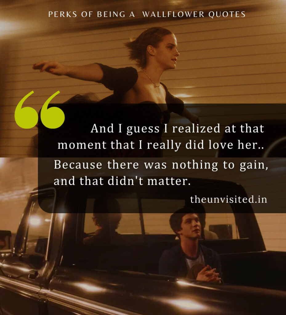 And I guess I realized at that moment that I really did love her. Because there was nothing to gain, and that didn't matter. - Perks Of Being A Wallflower Quotes | The Unvisited