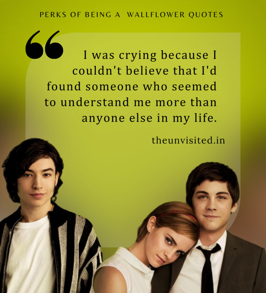 I was crying because I couldn't believe that I'd found someone who seemed to understand me more than anyone else in my life. - Perks Of Being A Wallflower Quotes | The Unvisited