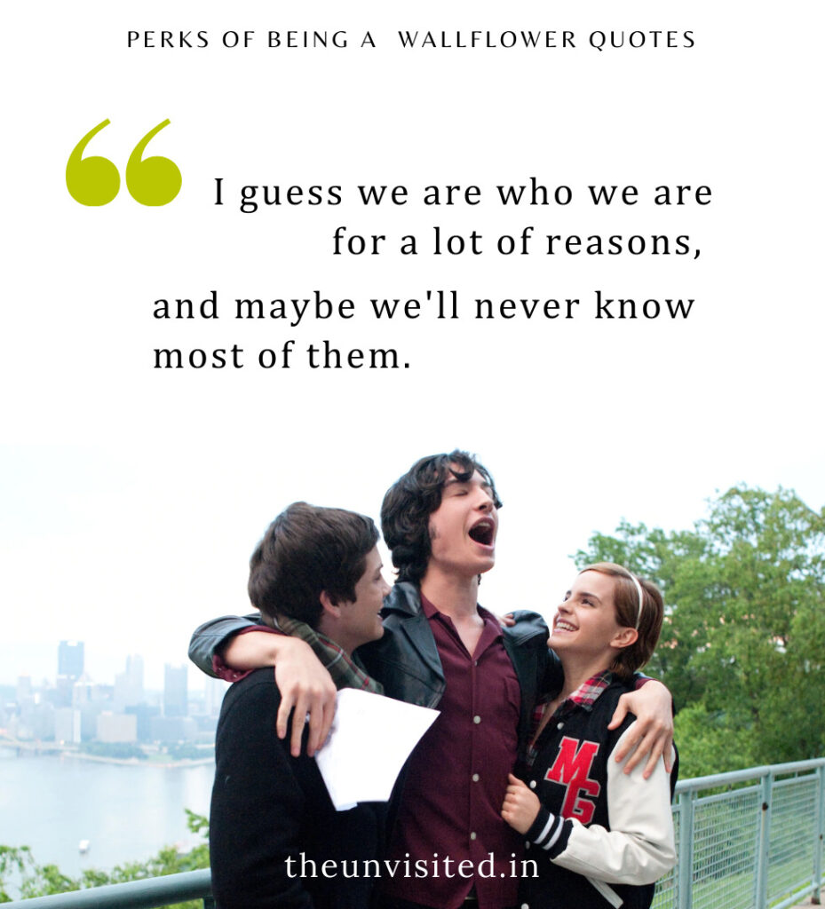 I guess we are who we are for a lot of reasons, and maybe we'll never know most of them. - Perks Of Being A Wallflower Quotes | The Unvisited