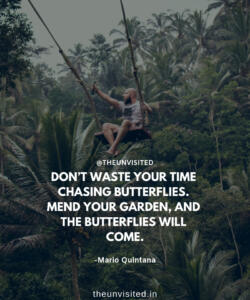 7 the unvisited man quote motivation inspiration quotes love deep book author writer read sad life DON’T WASTE YOUR TIME CHASING BUTTERFLIES. MEND YOUR GARDEN, AND THE BUTTERFLIES WILL COME.